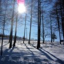 태백산가는길 이미지