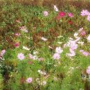 남국농장 이미지