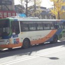 삼안여객 이미지