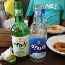 제주여행1번지 이미지