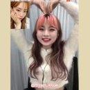 그리다인 이미지