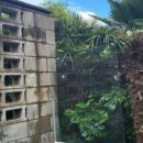 리인스테이 이미지