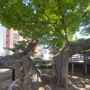 임진어린이공원 이미지