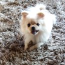 하나된우리 이미지