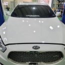 카스토리모터스 이미지