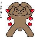 딸기애견미용실 이미지