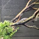 지산1길-1 이미지