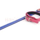 한스애견 이미지