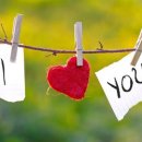 (주)모으리 이미지