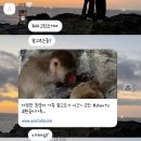 눈치 | 대전 당일치기🥖🎂 (성심당 눈치게임 대대대성공한 후기)