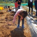 꿈의어린이집 이미지