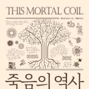 옥마벚길 이미지