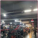 핏포유