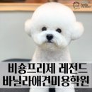 바닐라애견미용학원 이미지