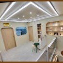 그린펫그루밍 이미지