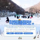 학동곶감마을 네이버블로그