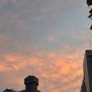 라운드짐 | 교대 PT샵 짐트리 후기 짐트리에서 운동하고 라운드숄더 탈출하기