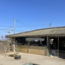 별담채 | 제주도 태교여행 - 1일차 ( 제주 신상 감성숙소 귤담채, 갈치구이정식, 커피냅로스터스 제주, 우유부단...