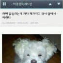 벌떡 이미지