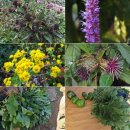 창규농장 이미지