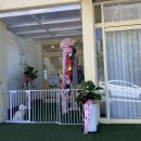 포드그루와 이미지