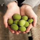 푸른메디컬 이미지