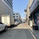 정화식당 | 강릉 노포 맛집 사르르 녹는 오징어볶음 정화식당 평일 후기