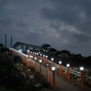 청산도 안단테 이미지