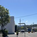 온더비치 | [시드니 왓슨스베이 맛집] 도일스 온 더 비치 레스토랑 ; 예약 없이 방문한 후기