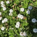 증도마트 이미지