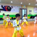 리2태권도장 이미지