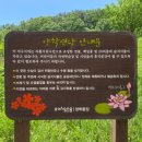 양학연당(양학저수지) | 포항산책로 점심또는 저녁먹고 소화시키기 좋은 산책로 양학연당