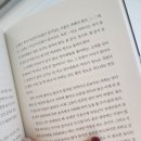 제3의 눈과 음모론 - 성도영 작가의 철학 에세이