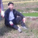 교리농장 이미지