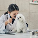 봄앤동물병원 이미지