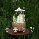 박순호농장 네이버블로그
