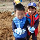 단원농장 이미지