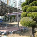 엄지척부동산중개사무소 이미지