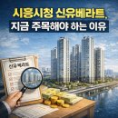 신유베라트 | 시흥시청 신유베라트, 지금 주목해야 하는 이유