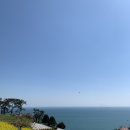 조림목장 | 남해 여행 후기 가볼만한 곳: 다랭이마을, 독일마을, 양떼목장, 맛집, 카페