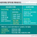 바른미래당 계파 분석 이미지