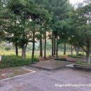 사선대야영장 이미지