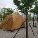 장터추어탕캠핑장 이미지