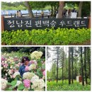 [공지] 전남 장흥 6월 추천 여행지 정남진 편백숲 우드랜드 수국정원 위치 및 개화상황 포토존 입장료 정보
