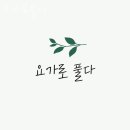요가로풀다
