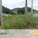 구산면556 이미지