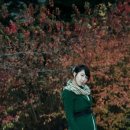 희원 이미지