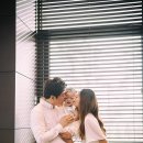 비보루즈 이미지