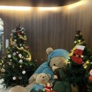 후만로 R 이미지