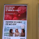 별내 유앤미 산부인과 HPV 자궁경부암 예방접종 후기｜2008~2014년생 무료 지원